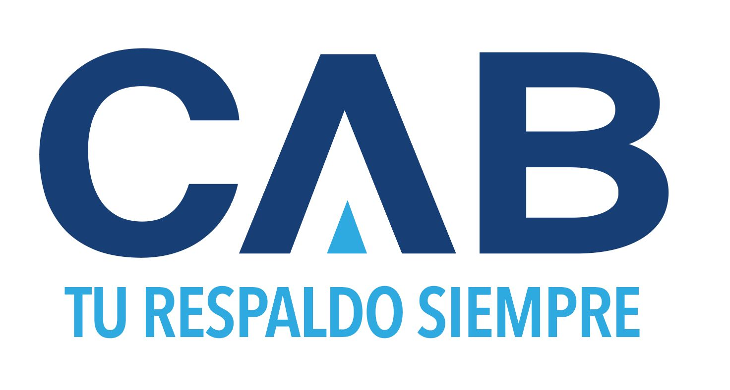 Director Comercial MGA SEGUROS